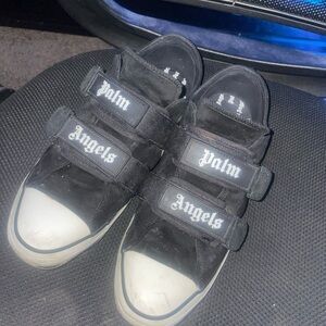 Palm angel $445 negotiable